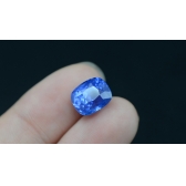 5.26GGTLʸʯ