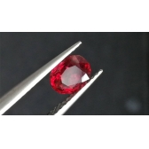 0.78պ⾧ʯ