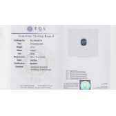 3.41EGL