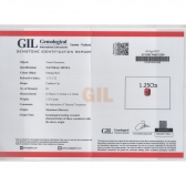 1.25GIL⾧ʯ