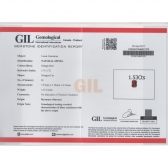 1.53GIL⾧ʯ