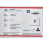 1.39GIL⾧ʯ