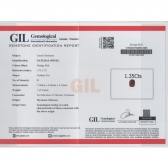 1.35GIL⾧ʯ
