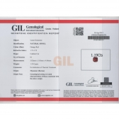 1.19GIL⾧ʯ
