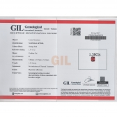 1.38GIL⾧ʯ