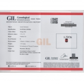 1.72GIL⾧ʯ