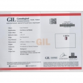 1.66GILշɫʯ
