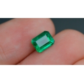 0.91ױvividĸ