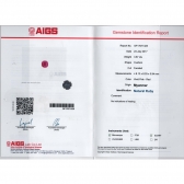 3.68պ챦ʯAIGS