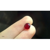 1.36GRSvivid챦ʯ