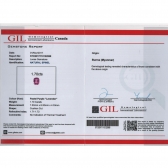 1.7GIL⾧ʯ