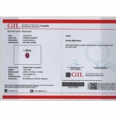 1.96GIL⾧ʯ