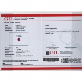 1.93GIL⾧ʯ