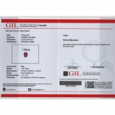 1.83GIL⾧ʯ