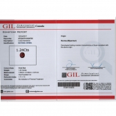 1.23GIL⾧ʯ