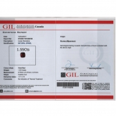 1.55GIL⾧ʯ