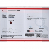 1.81GIL⾧ʯ