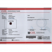 1.45GIL⾧ʯ