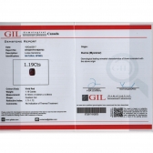 1.19GIL⾧ʯ