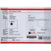 1.38GIL⾧ʯ