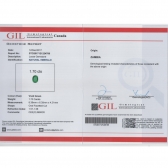1.7GILĸ