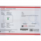 1.9GILĸ