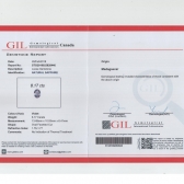 8.17GILɫʯ