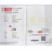 1.61CGLvividɫʯ
