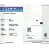 7.26EGLè