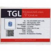 1.13TGLʯ
