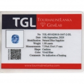 1.88TGLʯ