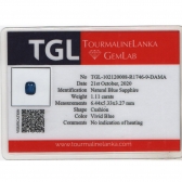 1.11TGLʯ
