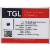 1.02TGLʯ