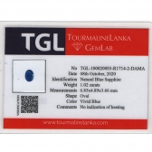 1.02TGLʯ