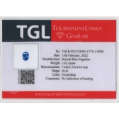 1.63TGLʯ