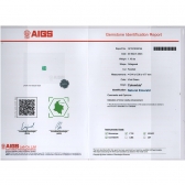 1.16AIGS΢͸ױĸ