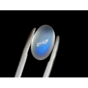 2.310¹ʯ