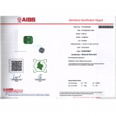 8.99AIGS΢ĸ