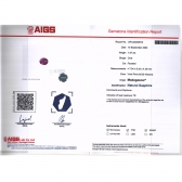 1.97AIGS