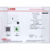 1.32AIGSĸ̵׹ÿ-
