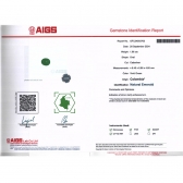1.860AIGS΢ĸ
