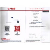 3.91AIGSʼʯ