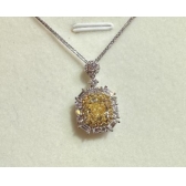 1.01���������׹