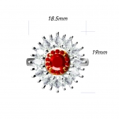 1.02պ챦ʯ