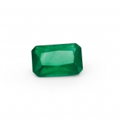 1.53GUILD Vivid Greenĸ
