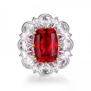 1.28����AIGS��Ѫ�챦ʯ���