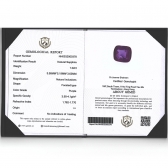 1.02������Ȼ������ɫ�������