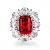 1.28����AIGS��Ѫ�챦ʯ���