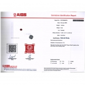 1.28����AIGS��Ѫ�챦ʯ���