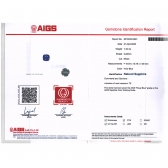 7.42����AIGS��Ȼ�����ʼ�������ʯ���